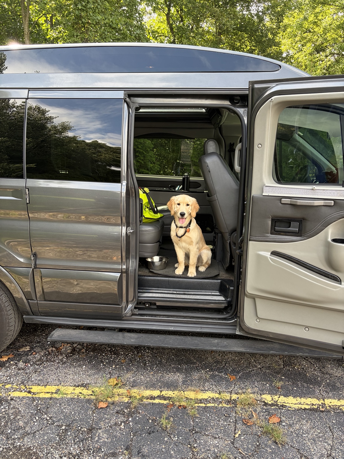 Our Paws With A Cause foster puppy sitting inside the open passenger door of the Gig-Van
